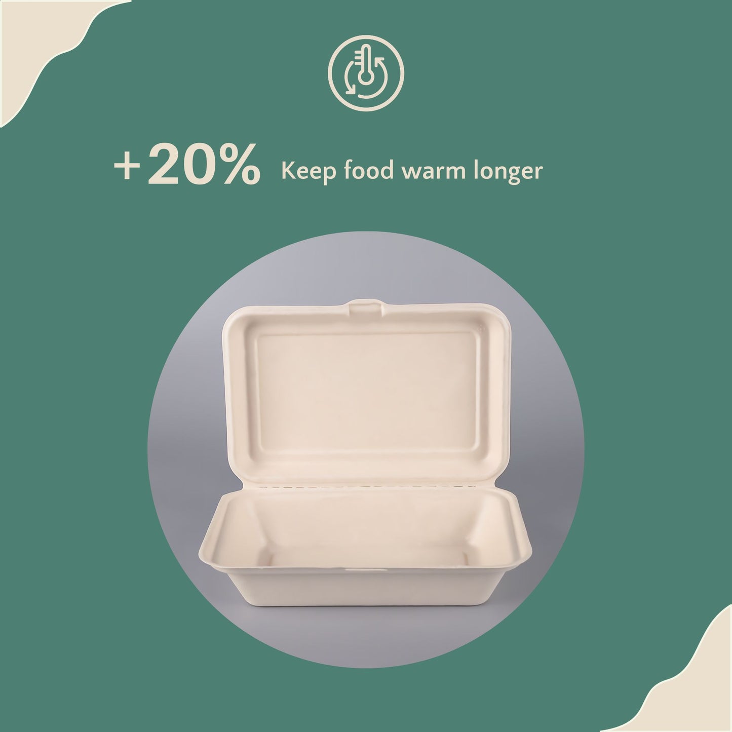 Honest Pack Clamshell Container from Sugarcane Fibre, 25 x 16 x 6.5 cm, 1000 ml